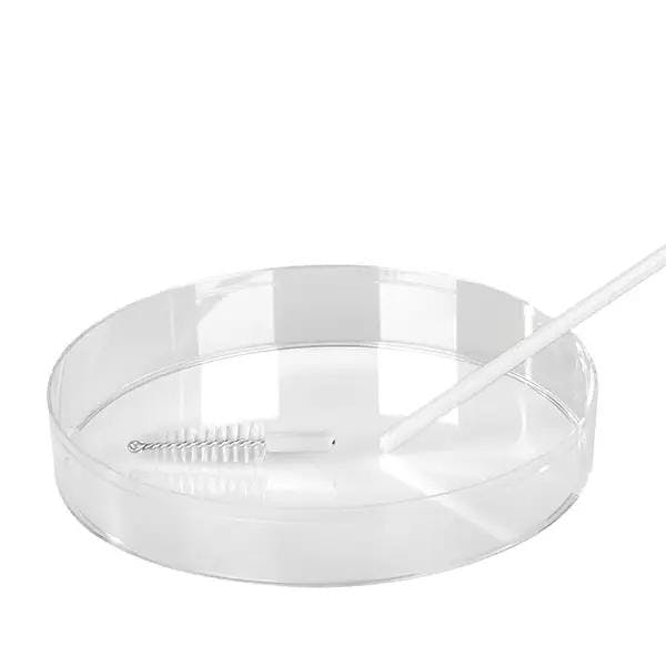 Abstrichbürste mit Sicherheitsspitze Produktbild Web Groß Detailbild 2 L