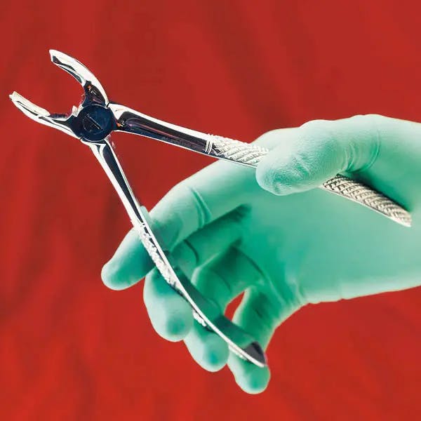 Zahnzange - Zum Abkneifen von Tierzähnen Produktbild Web Groß Detailbild 2 L