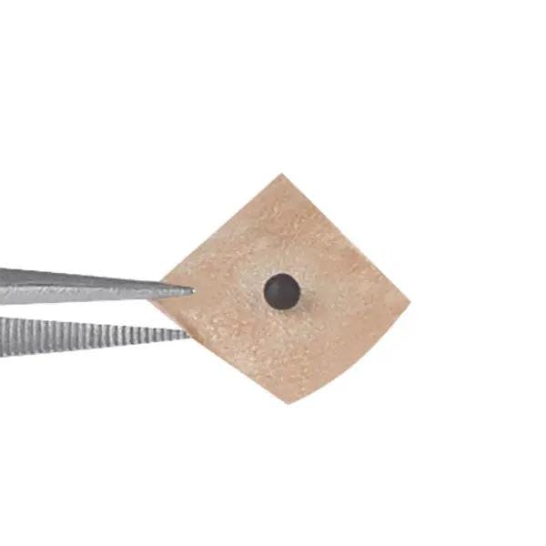Dongbang Ohrsamen Produktbild Web Groß Detailbild 2 L