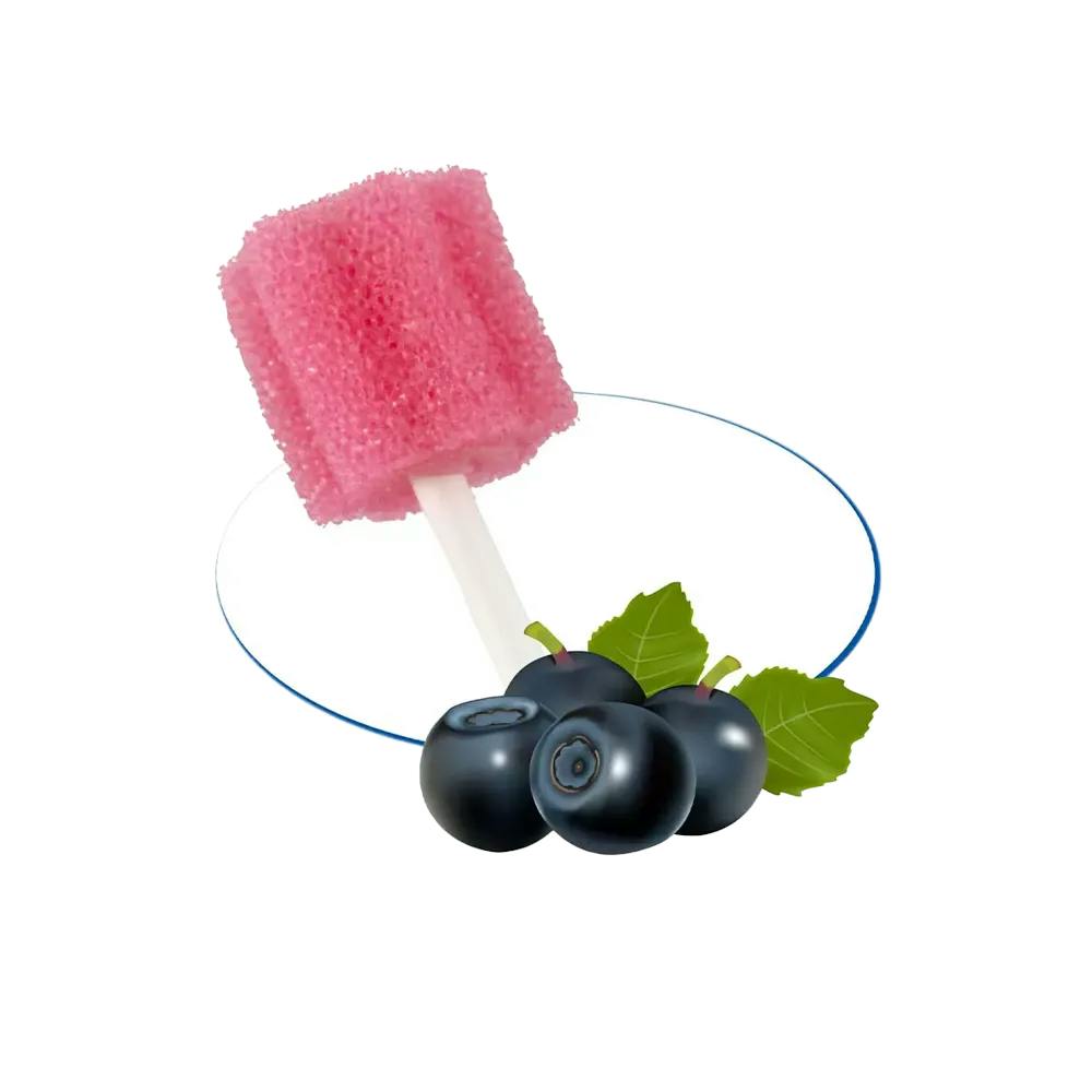 Mundpflegestäbchen mit Schaumstoffapplikator - Geschmack Johannisbeere, 250 Stück Produktbild