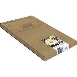 Epson  Original Tintenpatrone C13T18164511 Schwarz, Cyan, Magenta, Gelb 4 Stück Multipack Produktbild