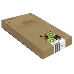 Epson Original Tintenpatrone C13T02E74510 Schwarz, Fotoschwarz, Cyan, Magenta, Gelb Multipack 5 Stück Produktbild