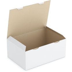 RAJA Versandkarton 1-wellig Pappe 300 (B) x 180 (T) x 430 (H) mm Weiß 50 Stück Produktbild