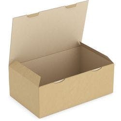 RAJA Versandkarton 1-wellig Pappe 250 (B) x 150 (T) x 400 (H) mm Braun 50 Stück Produktbild