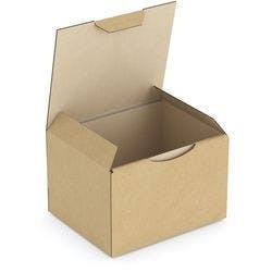 RAJA Versandkarton 1-wellig Pappe 100 (B) x 80 (T) x 120 (H) mm Braun 50 Stück Produktbild