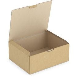 RAJA Versandkarton 1-wellig Pappe 200 (B) x 100 (T) x 250 (H) mm Braun 50 Stück Produktbild