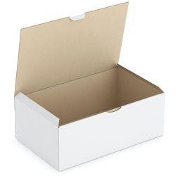 RAJA Versandkarton 1-wellig Pappe 220 (B) x 130 (T) x 350 (H) mm Weiß 50 Stück Produktbild