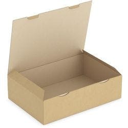 RAJA Versandkarton 1-wellig Pappe 300 (B) x 120 (T) x 430 (H) mm Braun 50 Stück Produktbild