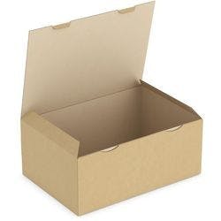 RAJA Versandkarton 1-wellig Pappe 300 (B) x 180 (T) x 430 (H) mm Braun 50 Stück Produktbild
