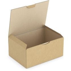 RAJA Versandkarton 1-wellig Pappe 155 (B) x 100 (T) x 215 (H) mm Braun 50 Stück Produktbild
