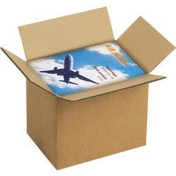 RAJA Versandkarton 2-wellig Pappe 310 (B) x 250 (T) x 430 (H) mm Braun 10 Stück Produktbild