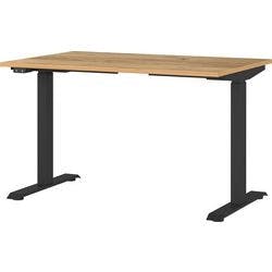 GERMANIA Sitz-Stehschreibtisch Metall, Spanplatte Eiche Schwarz T-Fuß 1.200 x 800 x 1.200 mm Produktbild