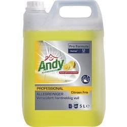 Andy Allzweckreiniger 1383137 2 Stück à 5 L Produktbild Print Hauptbild L
