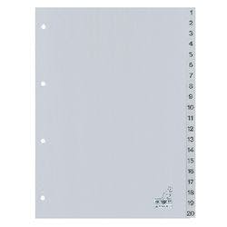 KANGARO Register G420C DIN A4 20-teilig 4-fach Kunststoff 1 bis 20 Produktbild