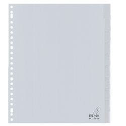 KANGARO Blanko Register DIN A4 Grau Transparent 10-teilig PP (Polypropylen) Rechteckig 23 Löcher G410FM-B Produktbild