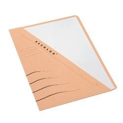 Djois Secolor Dokumentenmappen DIN A4 Chamois Karton Produktbild