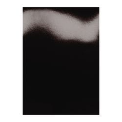 GBC HiGloss Einbanddeckel A4 Karton 250 g/m² Schwarz 100 Stück Produktbild