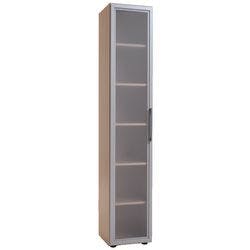 Geramoebel Speed Office Aktenschrank ABS (Acrylnitril-Butadien-Styrol), Spanplatte 5 Fachböden 400 x 420 x 2.160 mm Ahorn Braun Produktbild