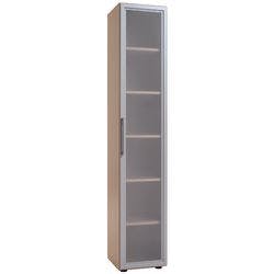 Geramoebel Speed Office Aktenschrank ABS (Acrylnitril-Butadien-Styrol), Spanplatte 5 Fachböden 400 x 420 x 2.160 mm Ahorn Braun Produktbild