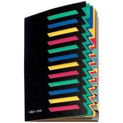 PAGNA Ordnungsmappe 24141-04 DIN A4 Pressspankarton Gummiband 23 (B) x 1 (T) x 32 (H) cm Mehrfarbig Produktbild