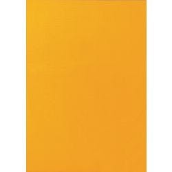 Multifunktionsetiketten Neonorange Rechteckig 25 Etiketten pro Packung Produktbild